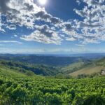 PHOTO-2025-09-18-11-50-50